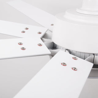 65 Inch Teresa Modern Double-sided Blades Ceiling Fan with Remote Control and LED Light