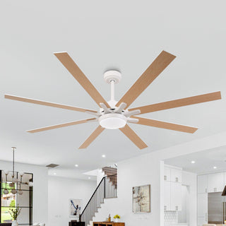 65 Inch Teresa Modern Double-sided Blades Ceiling Fan with Remote Control and LED Light