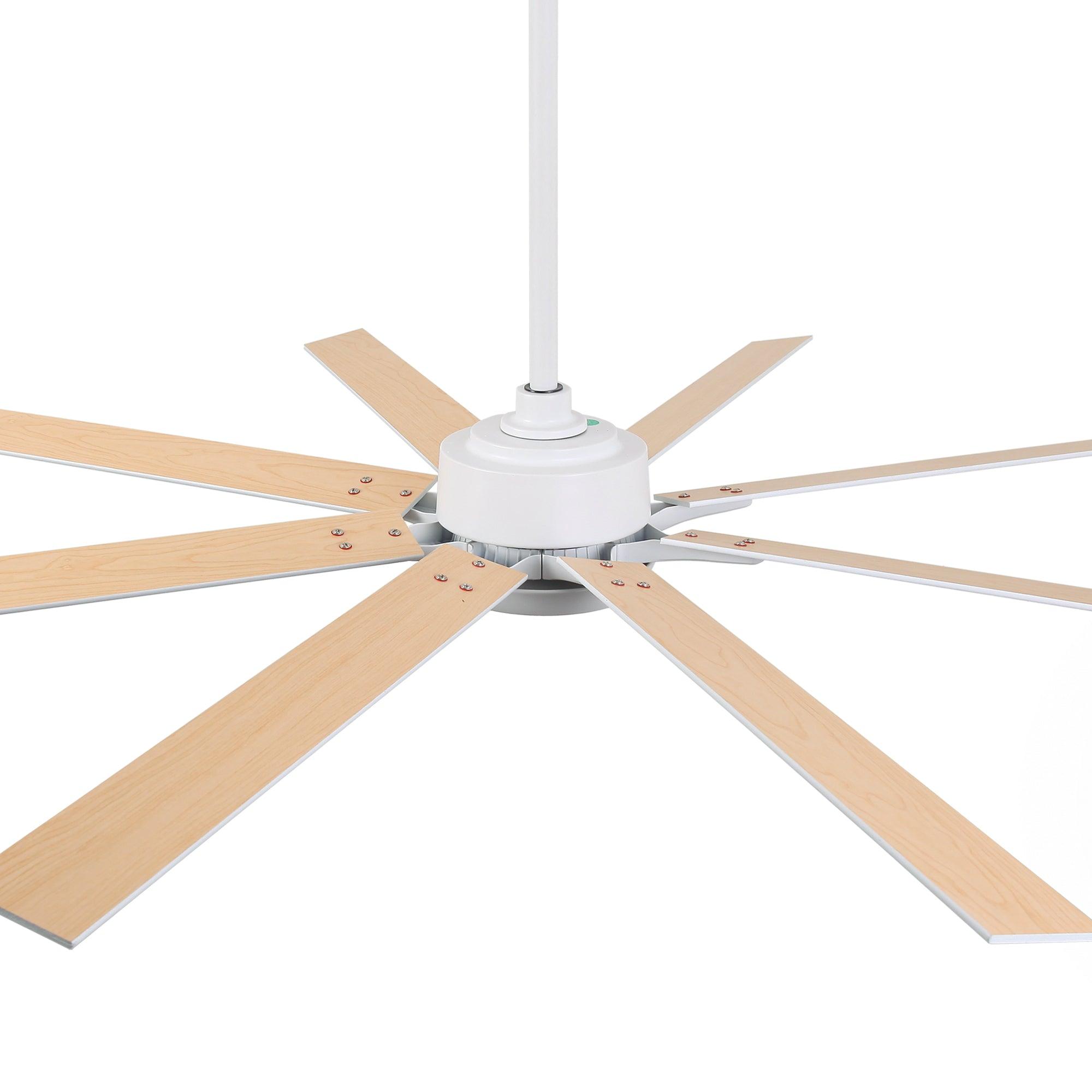 65 Inch Teresa Modern Double-sided Blades Ceiling Fan with Remote Control and LED Light