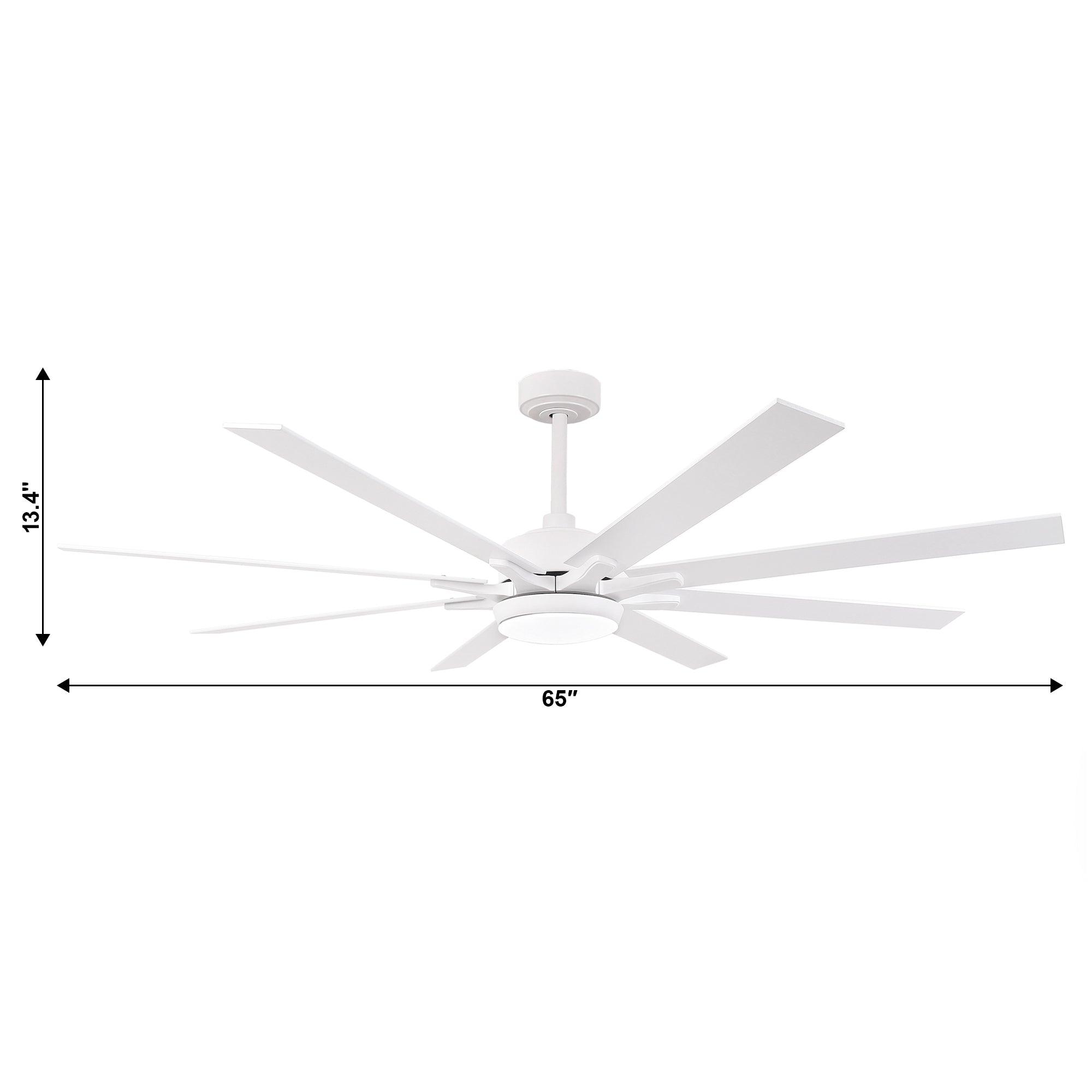 65 Inch Teresa Modern Double-sided Blades Ceiling Fan with Remote Control and LED Light