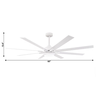 65 Inch Teresa Modern Double-sided Blades Ceiling Fan with Remote Control and LED Light