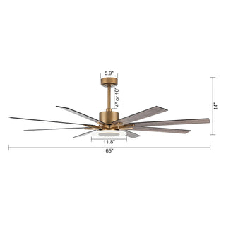 65" Godavari Industrial Downrod Mount Reversible Ceiling Fan with LED Lighting and Remote Control