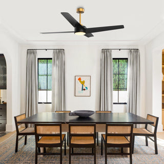 60" Parvez Modern DC Motor Downrod Mount Reversible Ceiling Fan with Lighting and Remote Control