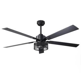 60 Inch Eden Black Ceiling Fan with Light and Remote Control
