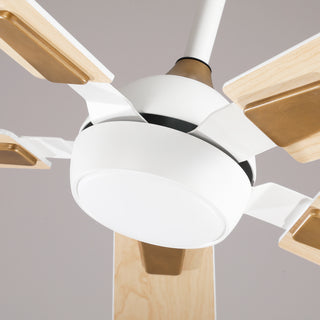 52"Smart LED Ceiling Fan with Reversible Blades