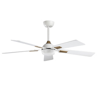 52" Modern Smart LED Ceiling Fan with Reversible DC Motor, Remote & App Control