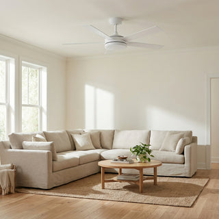 Vaczon 48" 5 Blades Industrial Modern Style DC Motor Ceiling Fan with LED Lighting and Remote Control