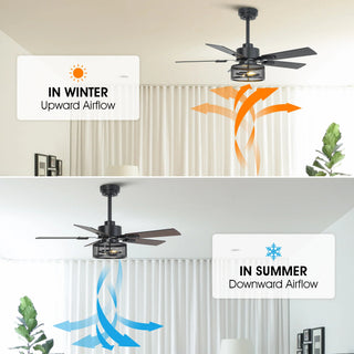 42" 52" 60" Eden Downrod Mount Ceiling Fan with Light and APP & Remote Control