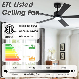 Vaczon 52" DC Motor Ceiling Fan with LED Lighting and Remote Control
