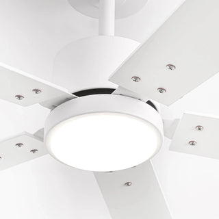Vaczon 52" DC Motor Ceiling Fan with LED Lighting and Remote Control